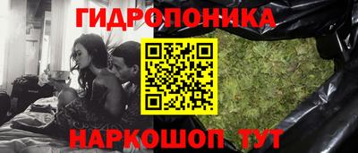 ГАЛЛЮЦИНОГЕННЫЕ ГРИБЫ Вязьма