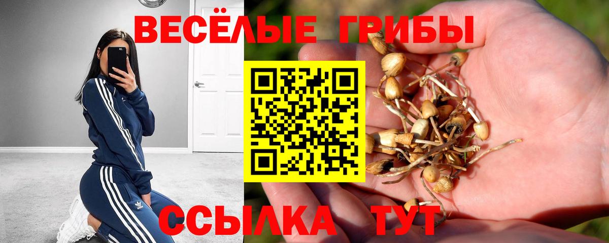 Псилоцибиновые грибы MAGIC MUSHROOMS  купить  сайты  Казань  Вход с VPN 